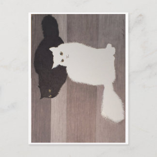 Vykort: Neko och Falkor Vykort