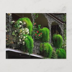 vykort New Orleans - Fransk Quarter USA