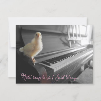 vykort Nóta beag le rá / Bara för att säga