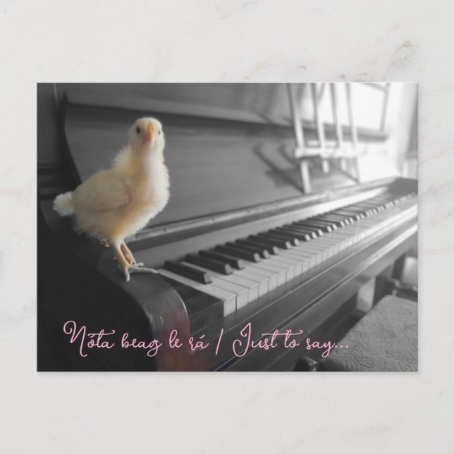 vykort Nóta beag le rá / Bara för att säga (Framsida)