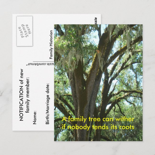 Vykort - Ny familjemedlem (Fram/baksida)