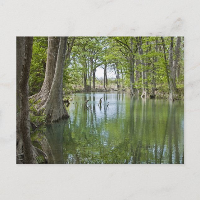 Vykort - ’Oasis’ (Framsida)