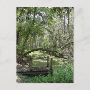 vykort - Old Florida