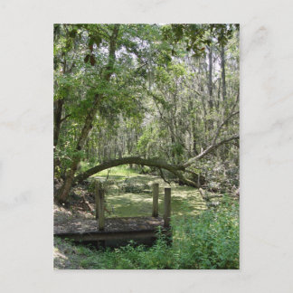 vykort - Old Florida