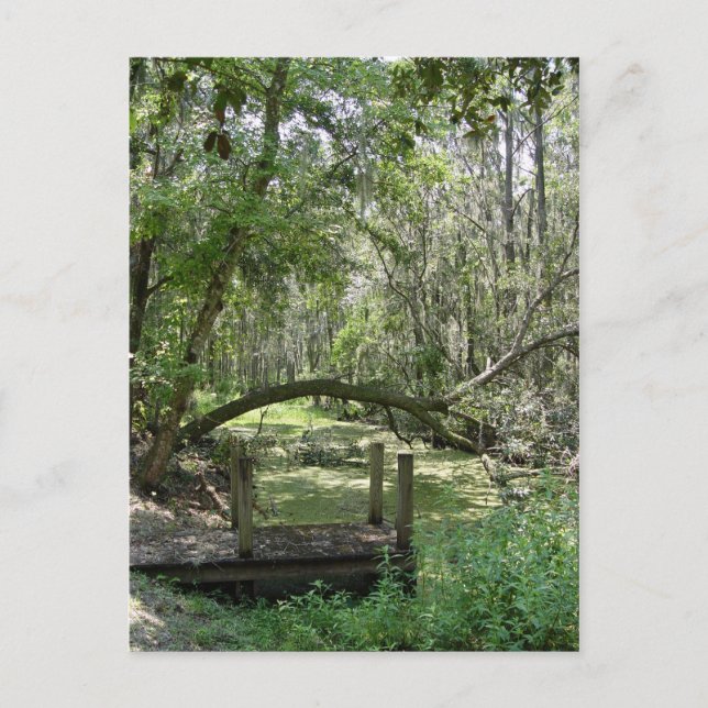 vykort - Old Florida (Framsida)