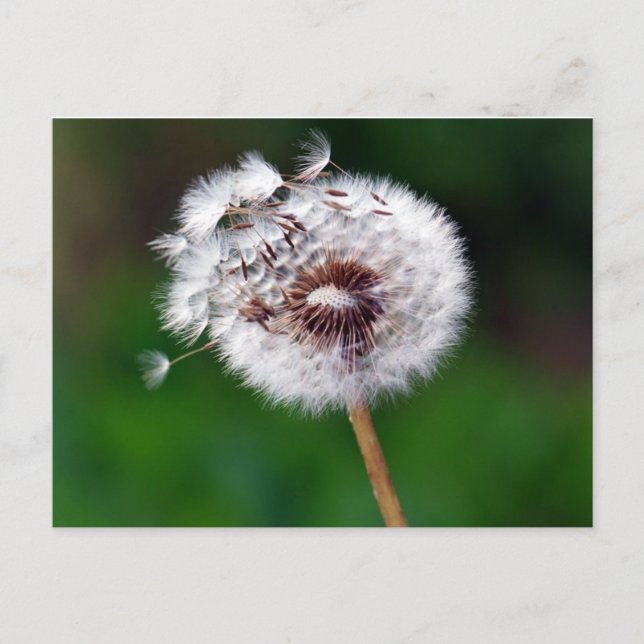 Vykort - Önska (Framsida)