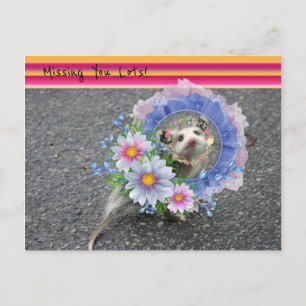 Vykort Opossum Blommig Rand Saknar dig massor!