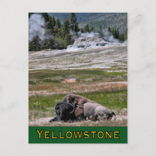 vykort: Övre Geyser Basin Sentinel Vykort