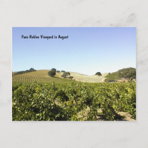 Vykort: Paso Robles Vineyard i augusti Vykort