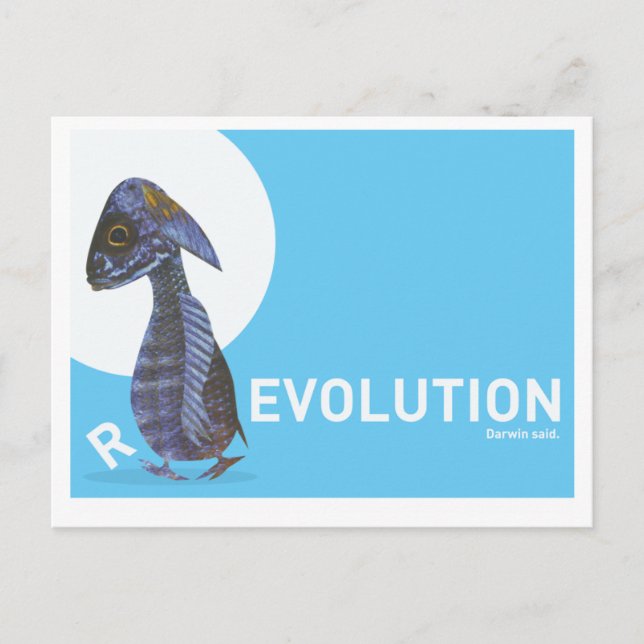 Vykort (R)EVOLUTION,DARWIN SADE (Framsida)