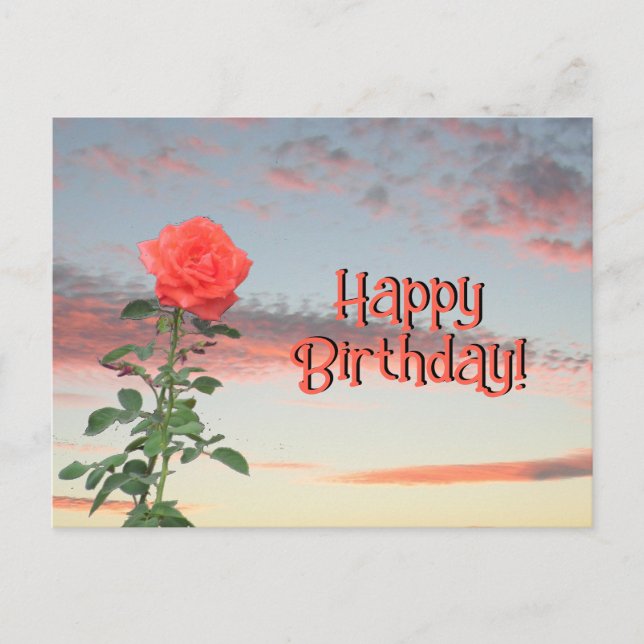 Vykort - Ros vid solnedgång (Framsida)