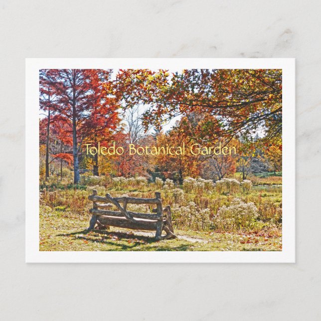 vykort/RUSTIC BENCH AMID FALL FÄRG PÅ TOLEDO BO Vykort (Framsida)