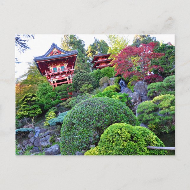 vykort San Francisco Japanska Tea Garden (Framsida)