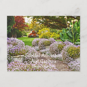 vykort, Schedel Arboretum och Gardens Vykort