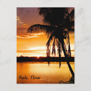 vykort Silhouette Handflatan Träd, Orange Sunset H