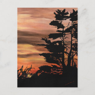 vykort - Silhouette Sunset