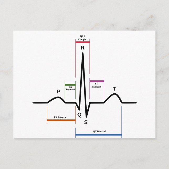 vykort Sinus-rytm Electrokardiogram EKG (Framsida)