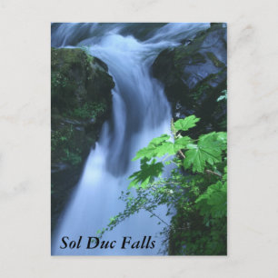 vykort: Sol Duc-fack Vykort
