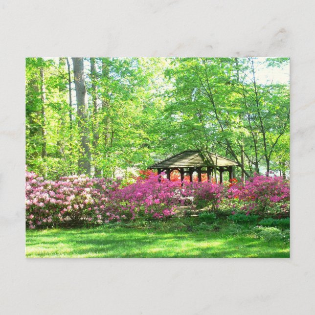 vykort, "Springtime at Toledo Botanical Garden" Vykort (Framsida)