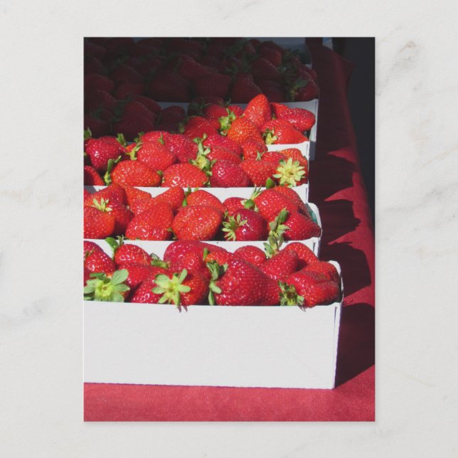 vykort - Srawberry Basket (vrt) (Framsida)