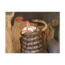 Vykort Stor Orm QLD Australien