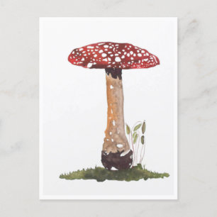 vykort - Study Fly Agaric Mushroom Watercolor
