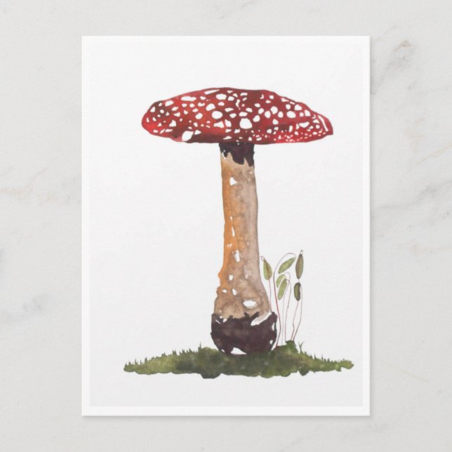 vykort - Study Fly Agaric Mushroom Watercolor (Framsida)