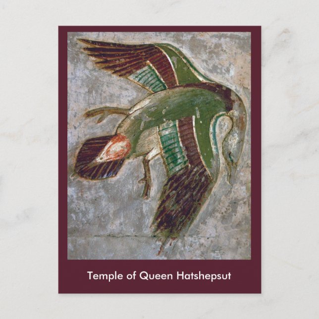 vykort: "Temple of Queen Hatshepsut" Vykort (Framsida)