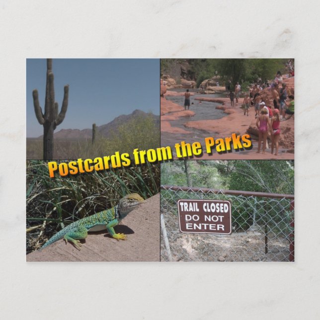 Vykort till senaten (Framsida)