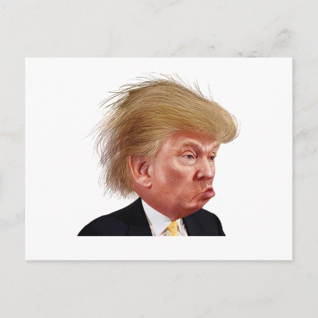 Vykort till Vita huset (Framsida)