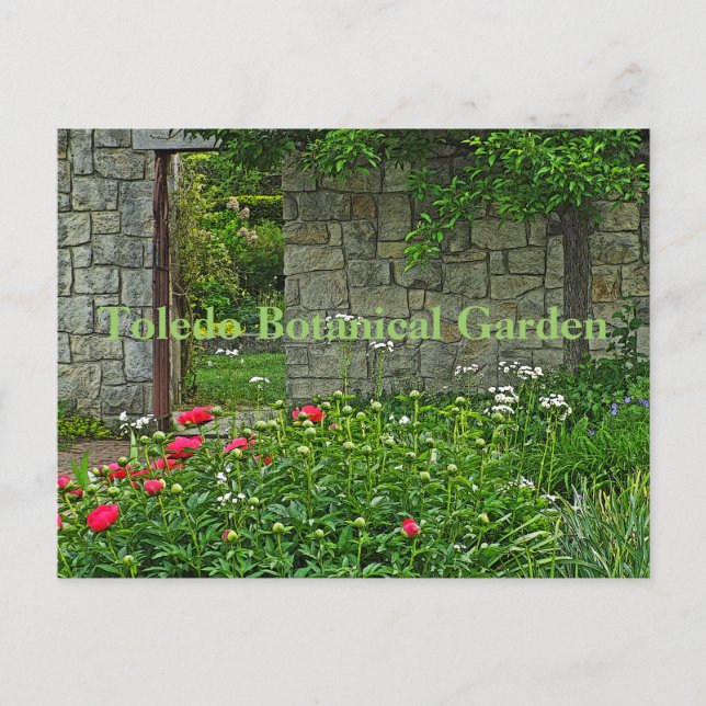 vykort, TOLEDO BOTANICAL GARDEN Vykort (Framsida)