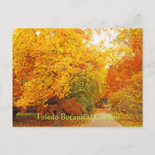 VYKORT/TOLEDO BOTANISKA TRÄDGÅRD/HÖSTSTIG VYKORT