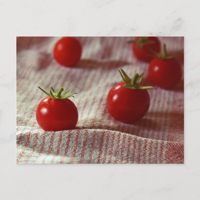 vykort "Tomato Party" (Framsida)