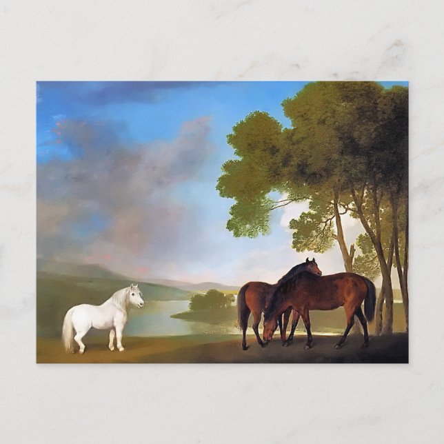 vykort: Två Bay Mare och en Grått Pony Vykort (Framsida)