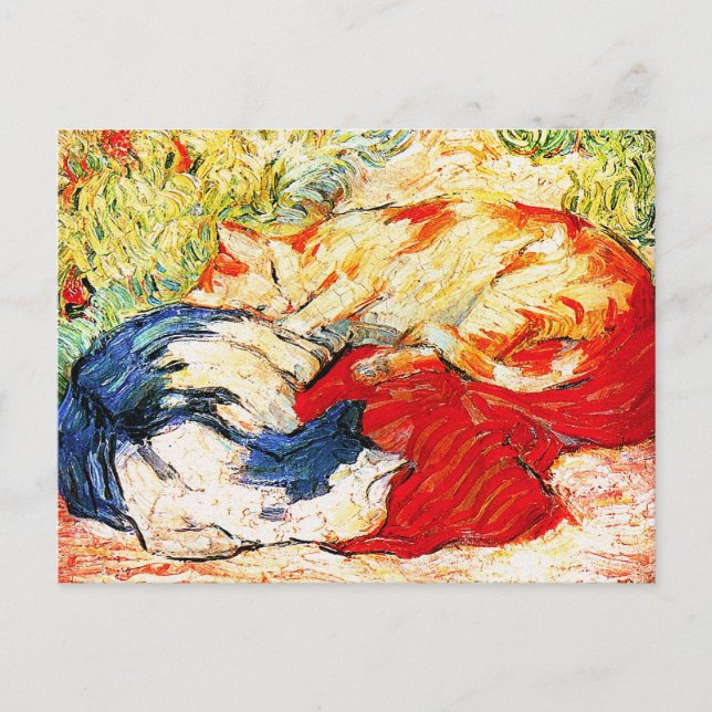 vykort: två katter vykort (Framsida)