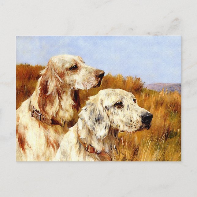 vykort: Två set-ers av Arthur Wardle Vykort (Framsida)