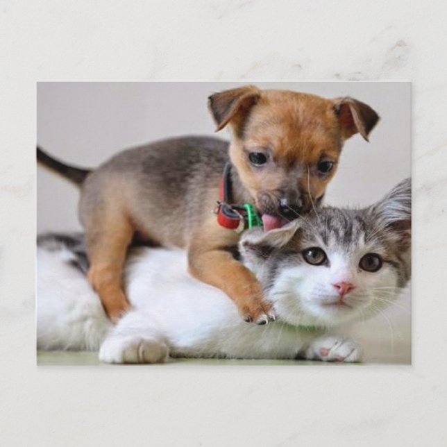 Vykort - Tvätta tid! (Framsida)