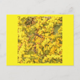 Vykort, tvättställ på goldenrod, skarp gult vykort