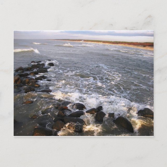 Vykort: "Typ. Litauen, Palanga" Vykort (Framsida)