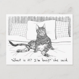  vykort: "Vad vill du?" (Lily) Vykort