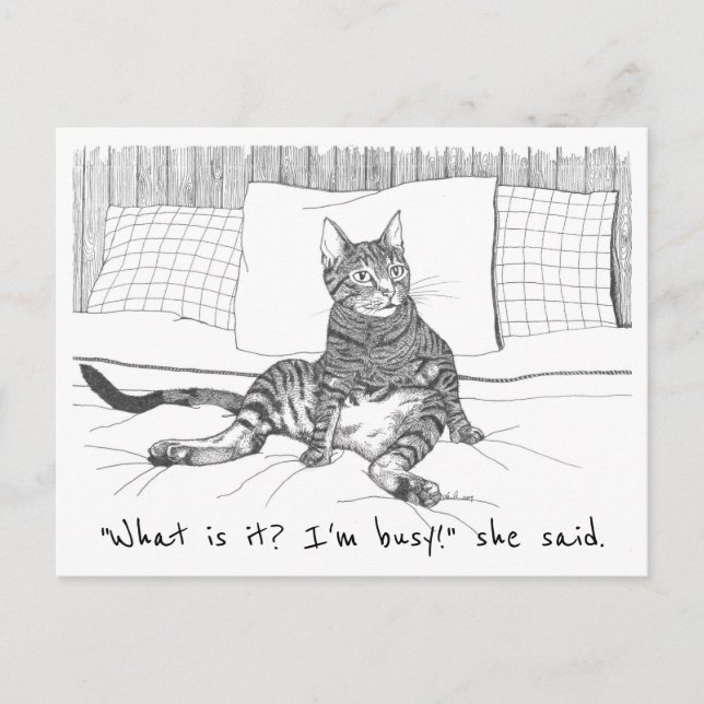  vykort: "Vad vill du?" (Lily) Vykort (Framsida)