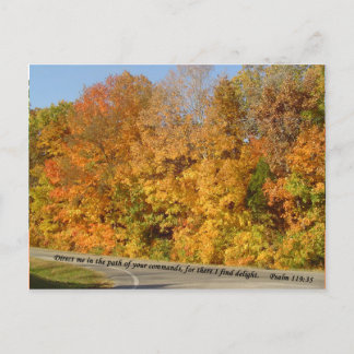 vykort: Väg till Delight Vykort