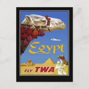 Vykort Vintage Resa Egypten Kamel