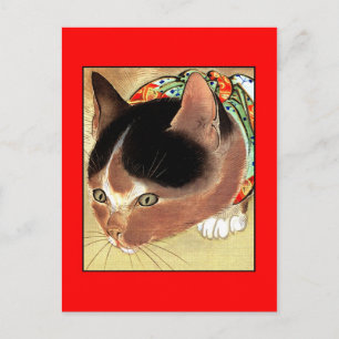 Vykort: Vintagekattkonst: "Nyfiken kattunge ", Vykort