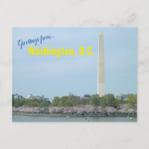 vykort - Washington Monument- och Cherry-Blommar