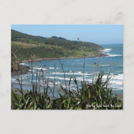 Vykort, Whale Bay, Raglan, Nya Zeeland Vykort
