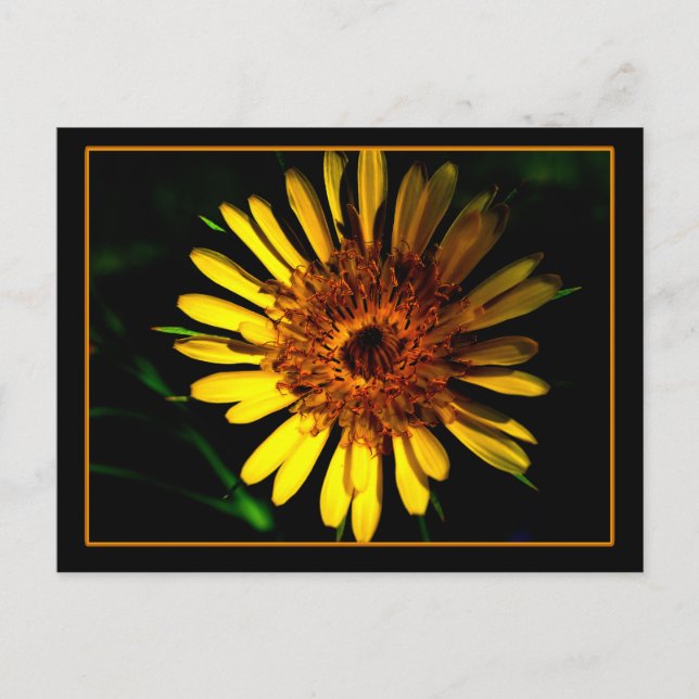 vykortet Ställe Vykort (Framsida)