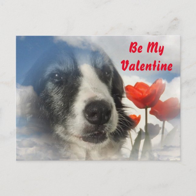 Vykortsprollie var min Valentine Helg Vykort (Framsida)