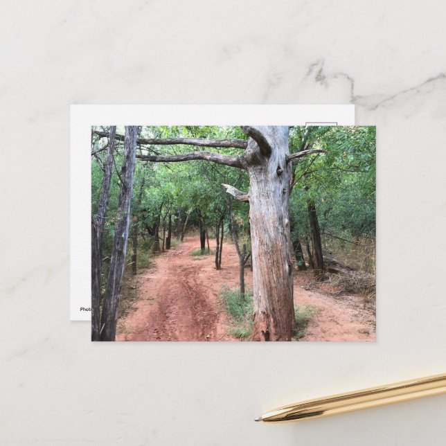 Vykortstyp Doorway och spår Vykort (Fram/Back In Situ)