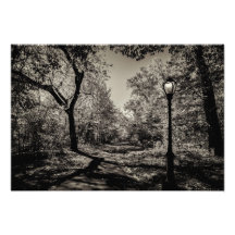 Vyn Black and White Autumn Central Park
